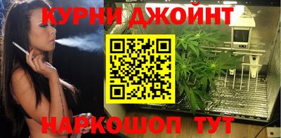 a pvp Кимры