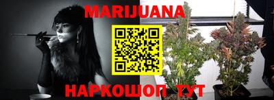 кокс Кингисепп