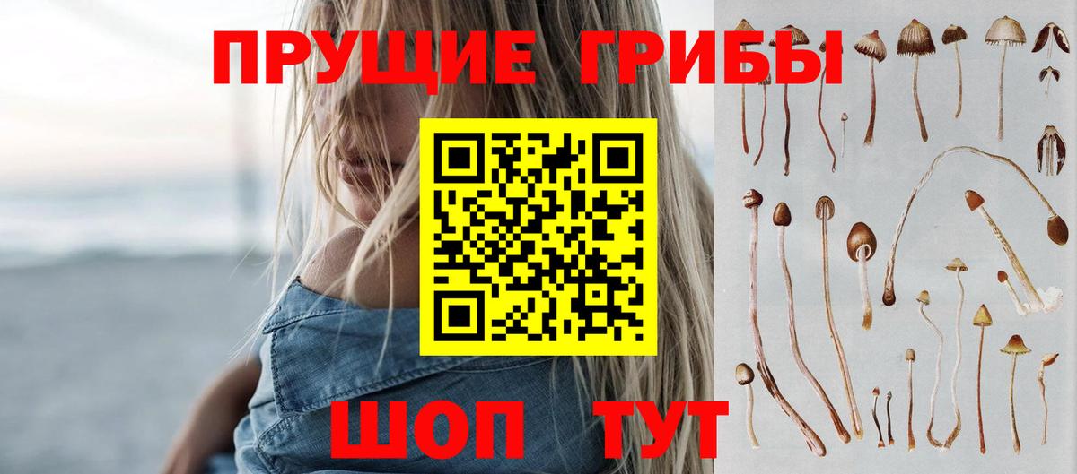 Галлюциногенные грибы MAGIC MUSHROOMS  магазин продажи   Красный Сулин  Вход с VPN 