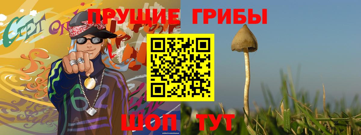 Псилоцибиновые грибы GOLDEN TEACHER Красный Сулин